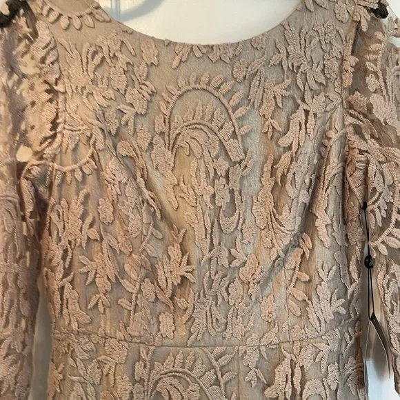 NWT Champagne Color Cocktail Dress by Adrianna Papell Size 8 - Picture 2 of 8